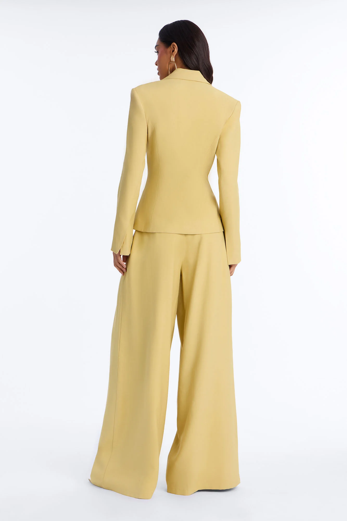 Elyse Linen High Rise Pleated Trousers - Honey - Image 4