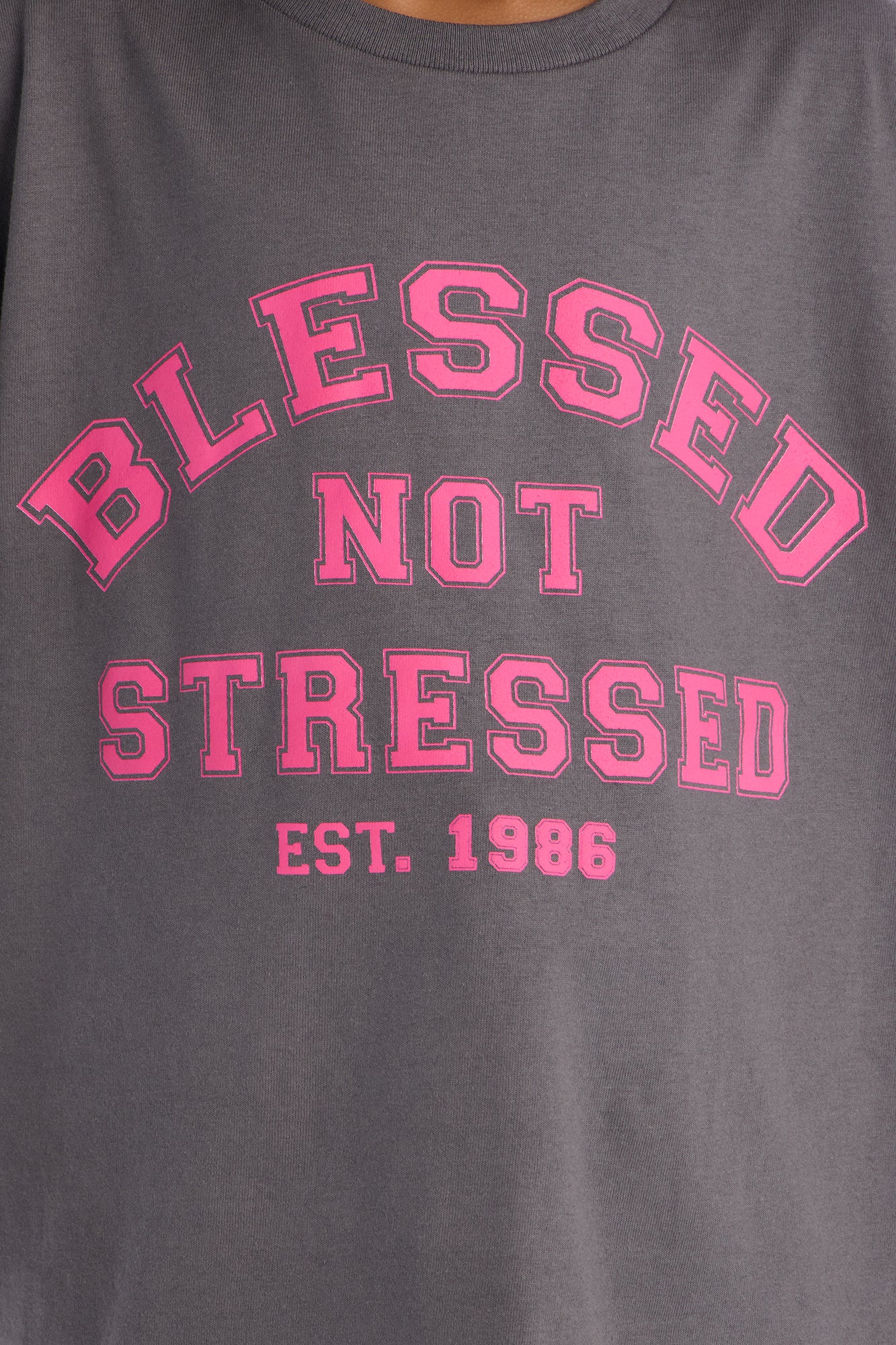 Mini Blessed Not Stressed Short Sleeve Tee - Charcoal - Image 3