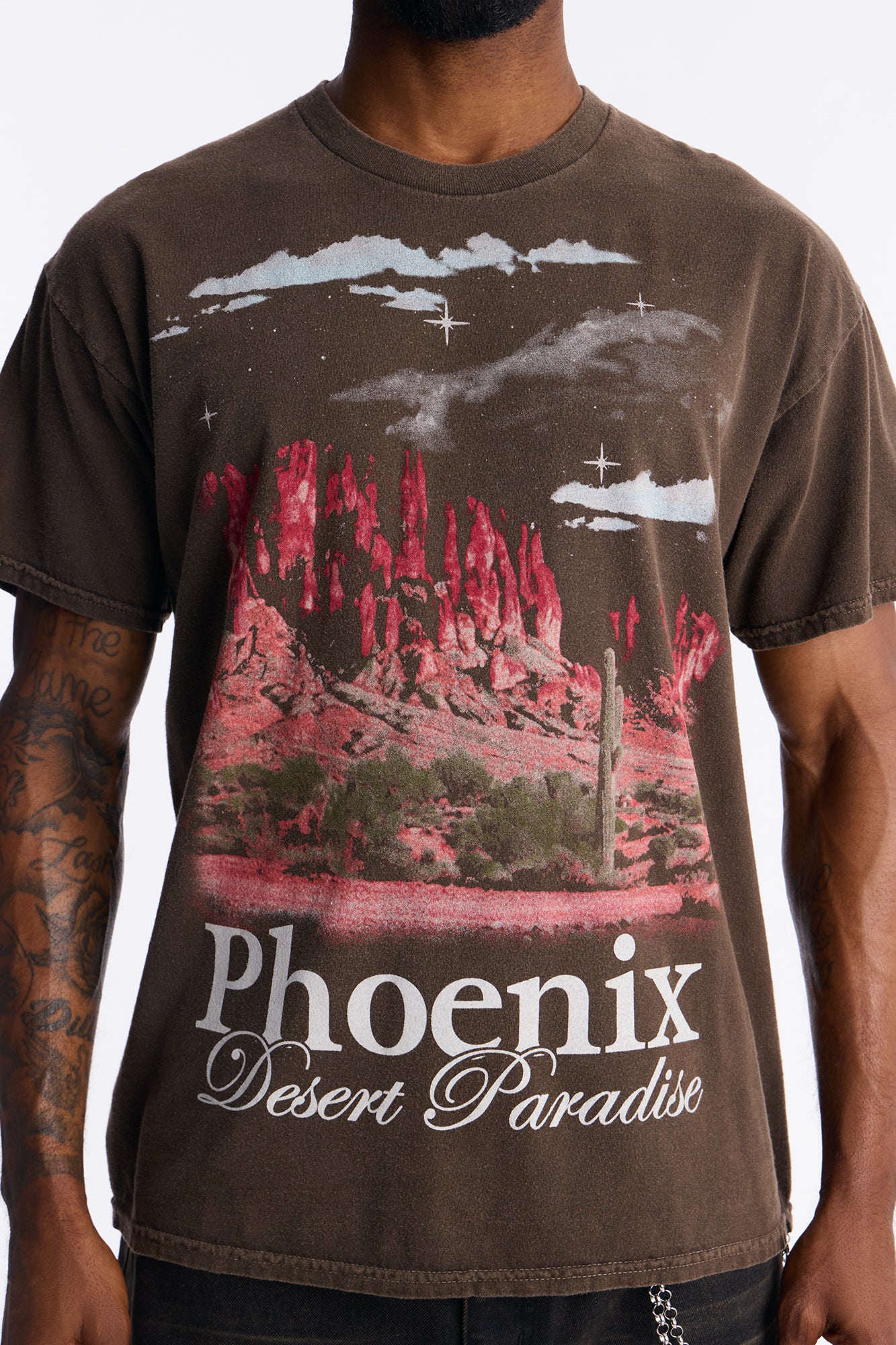 Phoenix Desert Paradise Oversized Short Sleeve Tee - Chocolate - Image 3