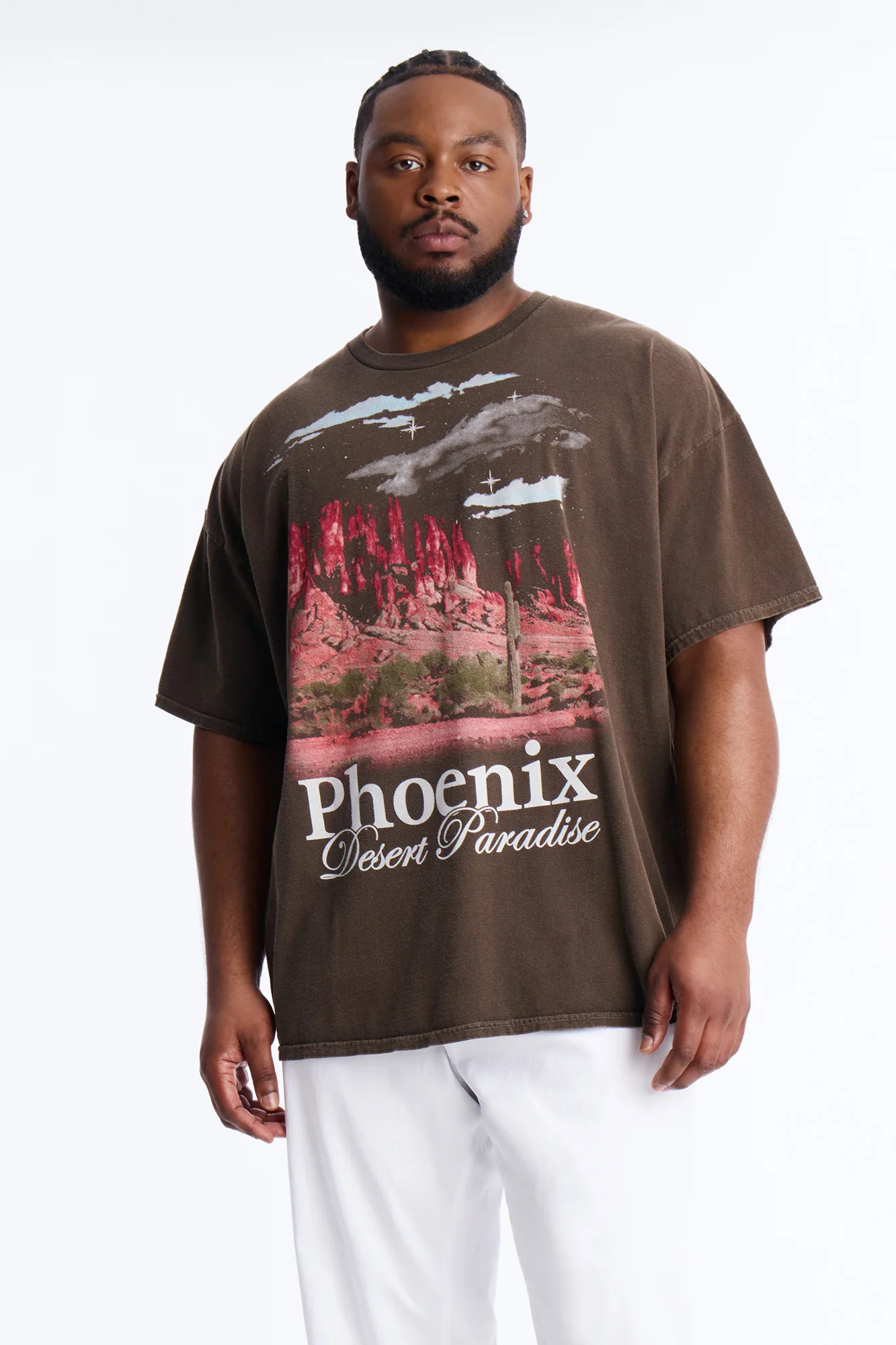Phoenix Desert Paradise Oversized Short Sleeve Tee - Chocolate - Image 5