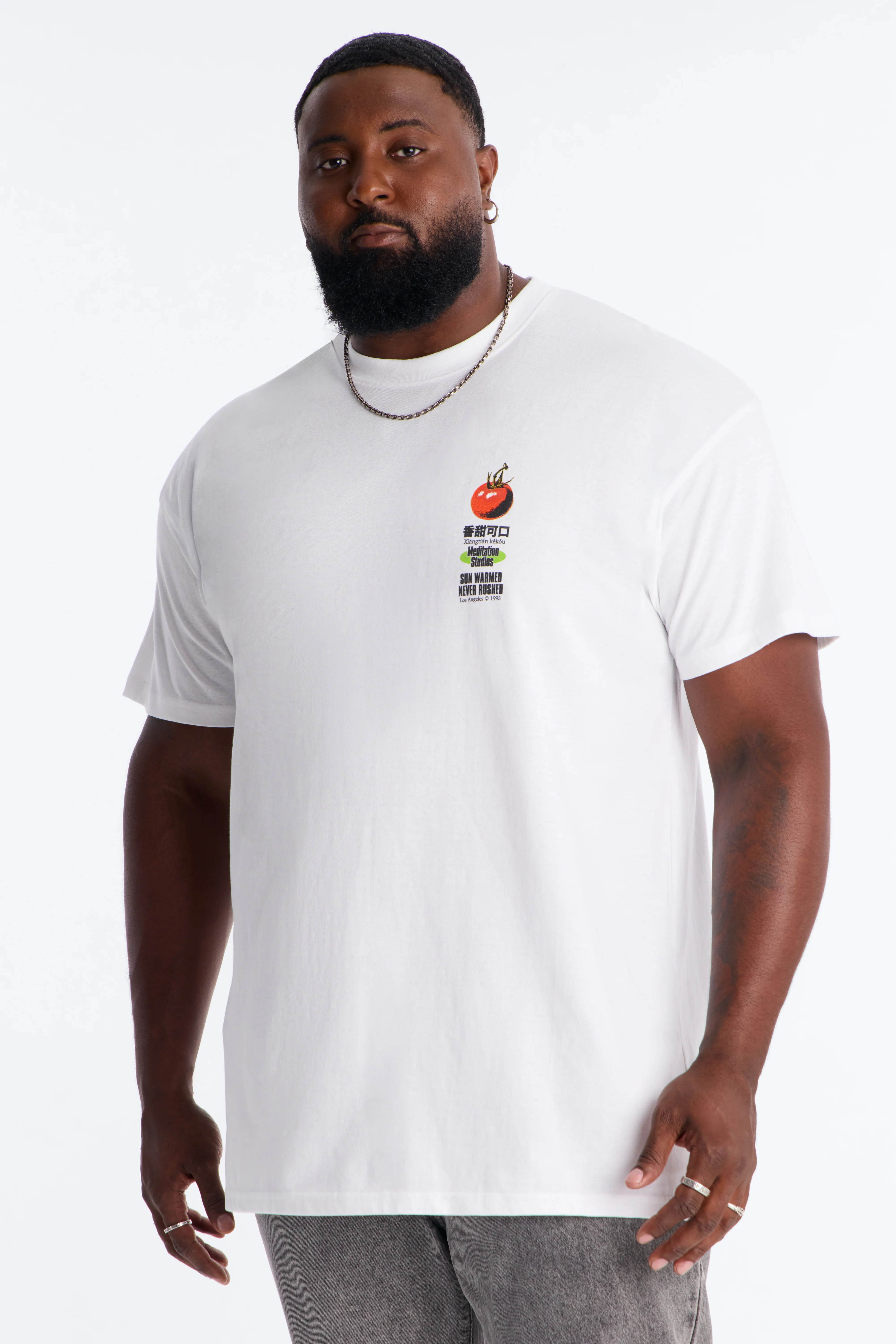 Sun Warmed Tomato Oversized Short Sleeve Tee - White - Image 5